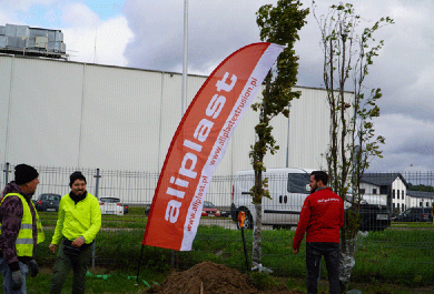 We plant trees