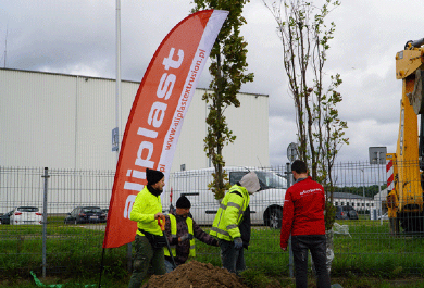 We plant trees
