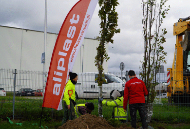 We plant trees