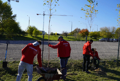 World Tree Day