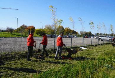 World Tree Day