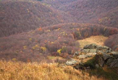 Expedition to the Bieszczady Mountains 