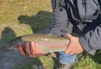 Aliplast Fishing Team