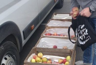 Fruit Wednesday in Aliplast