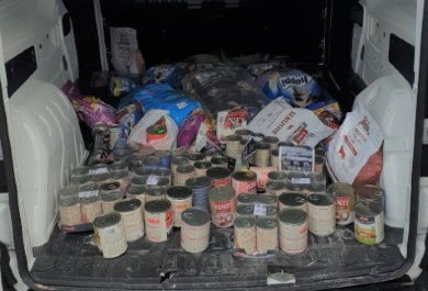 Summary of the action We Support Animals