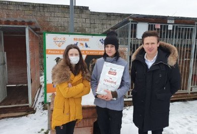 Summary of the action We Support Animals
